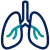 Respiratory health Breathing and Airway Health